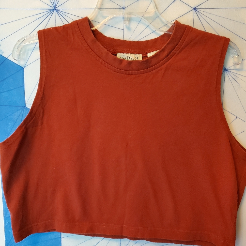Vintage crop top